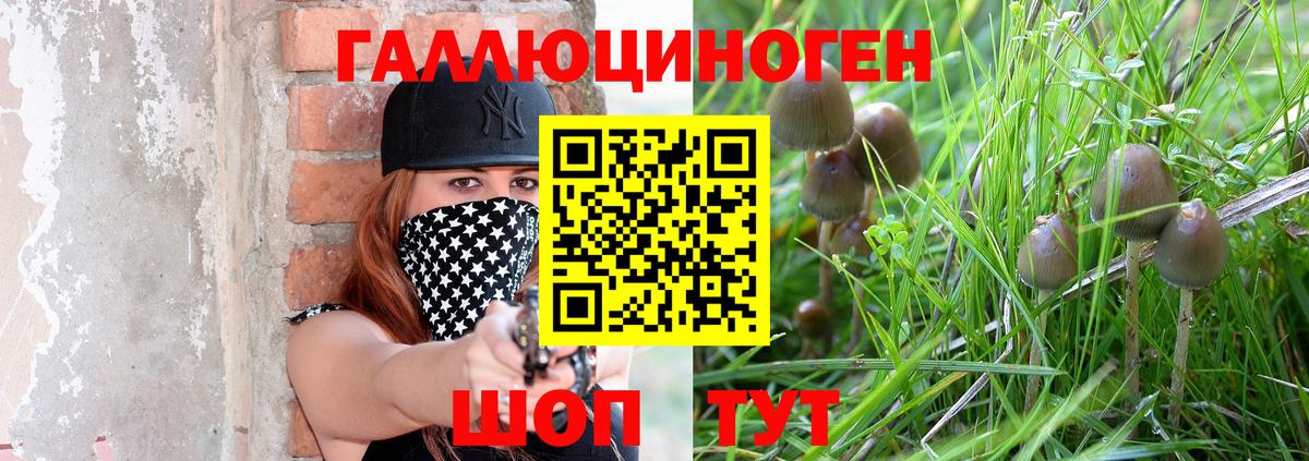 Псилоцибиновые грибы GOLDEN TEACHER  Вход с VPN  Озёры 